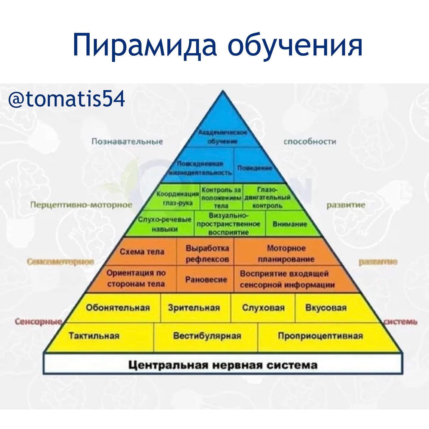 Пирамида обучения tomatis54.ru